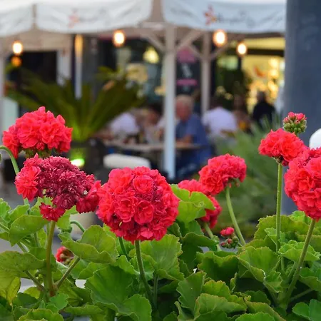 Residencial Noray Duplex 26 *